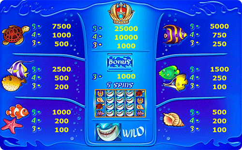 Общий вид игрового автомата.